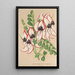 Clianthus Dampieri med hvide blomster og rød kant - Charles Antoine Lemaire — indrammet kunstværk på væggen