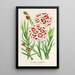 Reproduktion af maleriet Dianthus Verschaffeltii - Charles Antoine Lemaire