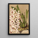 Reproduktion af maleriet Epidendrum conspicuum - Charles Antoine Lemaire
