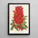 Reproduktion af maleriet Erythrina hybrida Marie Bellanger - Charles Antoine Lemaire