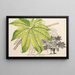Fatsia japonica aureoreticulata - Charles Antoine Lemaire — indrammet kunstværk på væggen