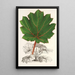 Reproduktion af maleriet Gunnera brephogea - Charles Antoine Lemaire