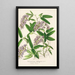 Hardenbergia Makoyana hybrida - Charles Antoine Lemaire — indrammet kunstværk på væggen