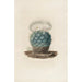 Reproduktion af maleriet Iconographie descriptive des cactées Pl02 - Charles Antoine Lemaire