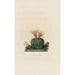 Reproduktion af maleriet Iconographie descriptive des cactées Pl05 - Charles Antoine Lemaire