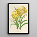 Reproduktion af maleriet Lilium Leichtlinii - Charles Antoine Lemaire