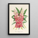 Reproduktion af maleriet Lupinus insignis hybridus - Charles Antoine Lemaire