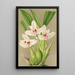 Reproduktion af maleriet Maxillaria grandiflora - Charles Antoine Lemaire