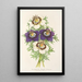 Reproduktion af maleriet Nigella hispanica varianter af - Charles Antoine Lemaire