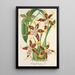 Reproduktion af maleriet Odontoglossum hallii - Charles Antoine Lemaire