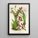 Reproduktion af maleriet Odontoglossum reichenheimii - Charles Antoine Lemaire