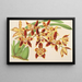 Odontoglossum luteopurpureum var. sceptrum - Charles Antoine Lemaire — indrammet kunstværk på væggen