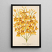 Oncidium aurosum - Charles Antoine Lemaire — indrammet kunstværk på væggen