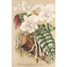 Phalaenopsis schilleriana - Charles Antoine Lemaire — visning af kunstværket