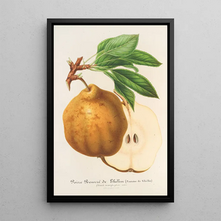 Charles Antoine Lemaire - Poire Beurr de Ghlin.webp