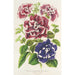 Petunia inimitabilis hybride flore plein - Charles Antoine Lemaire — visning af kunstværket