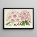 Rhododendron Bijou de Gand hybrid - Charles Antoine Lemaire — indrammet kunstværk på væggen