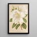 Rhododendron Sesterianum hybride - Charles Antoine Lemaire — indrammet kunstværk på væggen