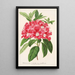 Reproduktion af maleriet Rhododendron azaleoides var. crispinorum - Charles Antoine Lemaire