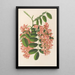 Reproduktion af maleriet Robinia pseudacacia var. Decaisneana - Charles Antoine Lemaire