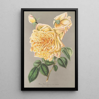 Charles Antoine Lemaire - Rose Th Jaune dor.webp