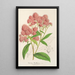 Reproduktion af maleriet Spiraea Nobleana - Charles Antoine Lemaire