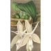 Reproduktion af maleriet Stanhopea eburnea var. spectabilis - Charles Antoine Lemaire