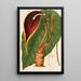 Reproduktion af maleriet Steudnera colocasifolia - Charles Antoine Lemaire