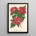 Reproduktion af maleriet Weigelia Middendorffiana var purpurata - Charles Antoine Lemaire