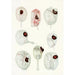 Reproduktion af maleriet Les dinoflagellés libres non cuirassés pl 12 - Charles Atwood Kofoid