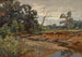 Bois d'Indiana - Charles Conner — visning af kunstværket