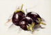 Aubergines - Charles Demuth — visning af kunstværket