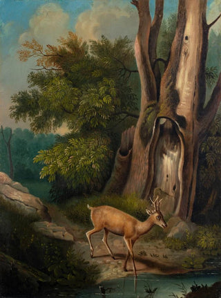 Charles Ferdinand Wimar - A Woodland Scene with Deer.webp