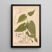Reproduktion af maleriet af medicinske planter Pl033 - Charles Frederick Millspaugh