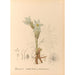 medicinske planter Pl094 - Charles Frederick Millspaugh — visning af kunstværket