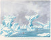 Scène parmi les glaces dans la mer polaire - Charles Hamilton Smith — visning af kunstværket