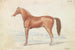 Le Cheval de course anglais - Charles Hamilton Smith — visning af kunstværket
