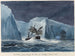 L'Erebus passerer gennem isbjerge - Charles Hamilton Smith — visning af kunstværket