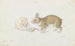 Le lapin - Charles Hamilton Smith — visning af kunstværket