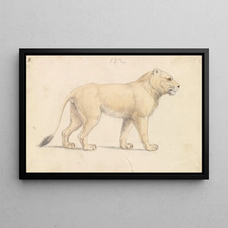 Charles Hamilton Smith - Tsavo Lion.webp