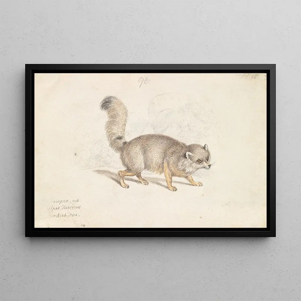 Charles Hamilton Smith - Turkish DogFox.webp