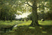 Ruisseau de prairie - Charles Paul Gruppe — visning af kunstværket
