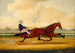 Budd Doble Conduisant Goldsmith Maid ved Belmont Driving Park - Charles Spencer Humphreys — visning af kunstværket
