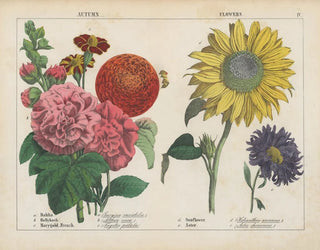 Fleurs d'automne - Charlotte Mary Yonge — visning af kunstværket