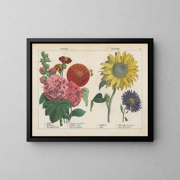 Fleurs d'automne - Charlotte Mary Yonge — indrammet kunstværk på væggen