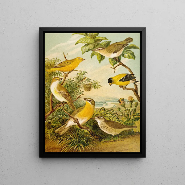 Le monde des oiseaux d'Amérique du Nord pl16 - Christian Anton Goering — indrammet kunstværk på væggen