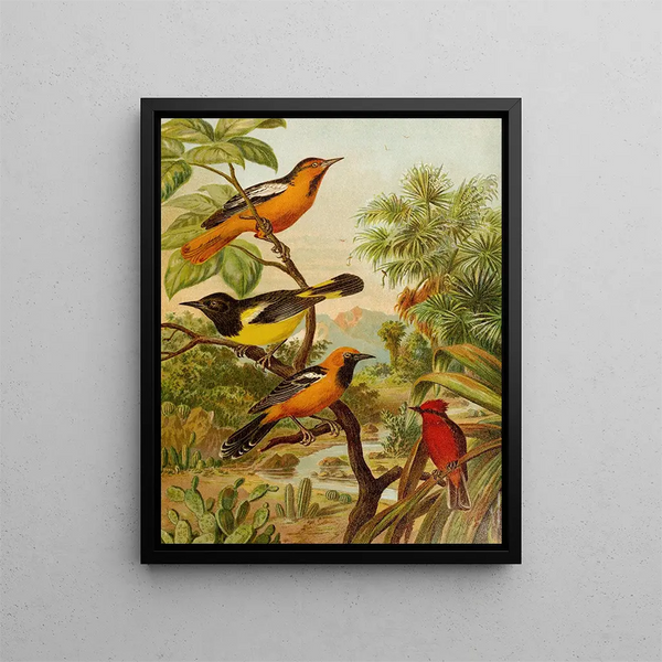 Le monde des oiseaux d'Amérique du Nord pl31 - Christian Anton Goering — indrammet kunstværk på væggen