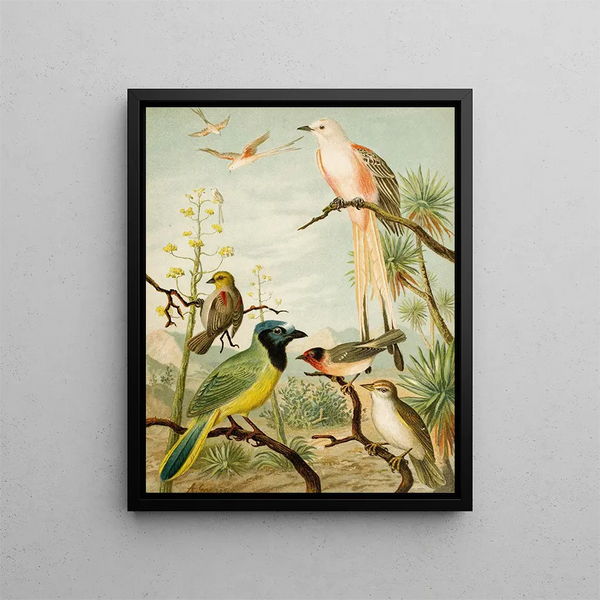 Le monde des oiseaux d'Amérique du Nord pl32 - Christian Anton Goering — indrammet kunstværk på væggen