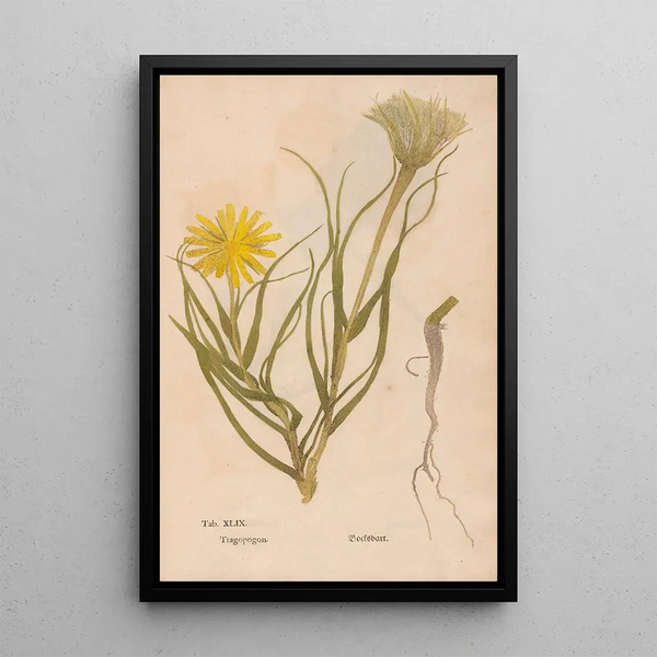 Reproduktion af maleriet Ectypa vegetabilium Pl049 - Christian Gottlieb Ludwig