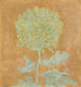 Chrysanthème - Piet Mondrian — visning af kunstværket